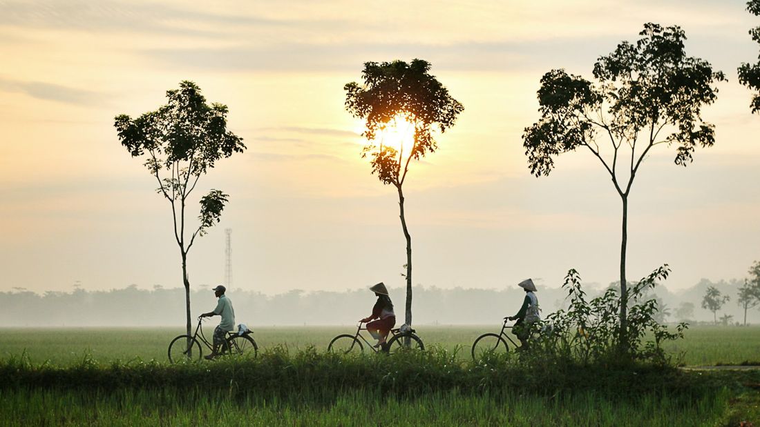 Drie mensen fietsen over een grasveld